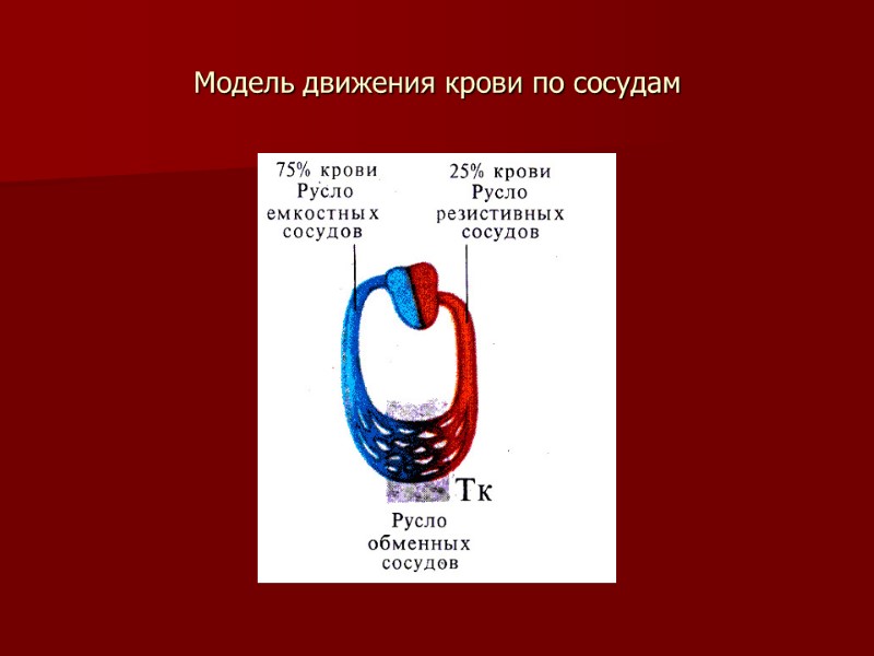 Модель движения крови по сосудам